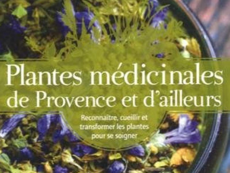 Medicinal plants of Provence and elsewhere